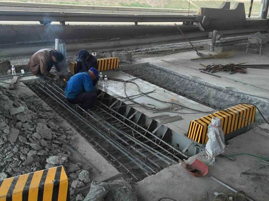شاحنة محمولة المحور موازين السيارة وزنها مع وحدة تحكم ديناميكي قياسي
